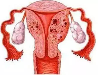 秘密假期.png 秘密假期.png