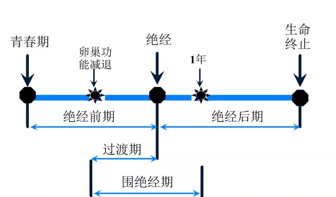 秘密假期经期养护.jpg 秘密假期经期养护.jpg
