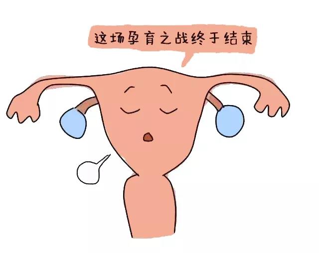 秘密假期调经馆.jpg 秘密假期调经馆.jpg