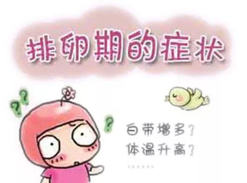 白带，你以为你真的认识到位了？   .png